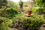 Alan Swann's Garden